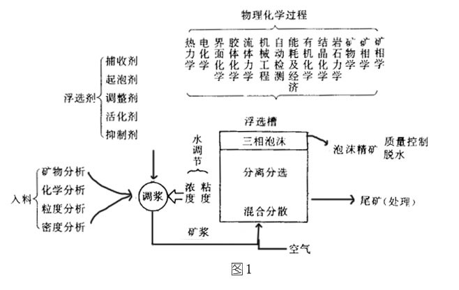 浮選機(jī)泡沫浮選的過程和基本概念