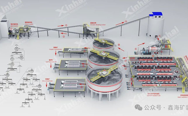 鑫海礦裝定制化浮選工藝